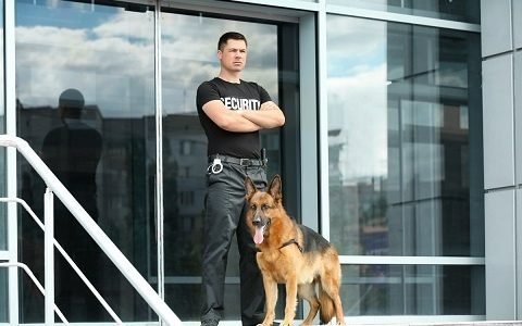 Devis Gratuit Société de sécurité privée