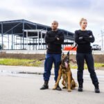 Chantier agent cynophile sécurité privée